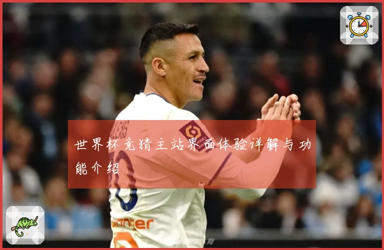 世界杯竞猜主站界面体验详解与功能介绍