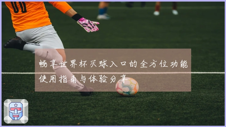 畅享世界杯买球入口的全方位功能使用指南与体验分享