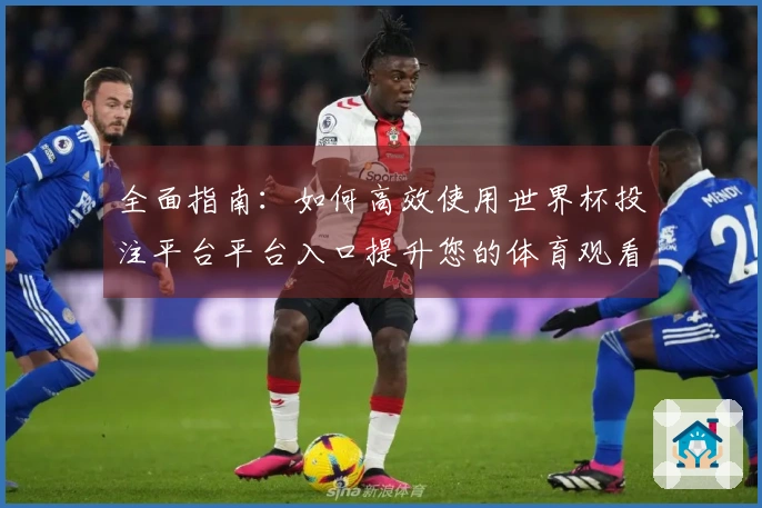 全面指南：如何高效使用世界杯投注平台平台入口提升您的体育观看体验