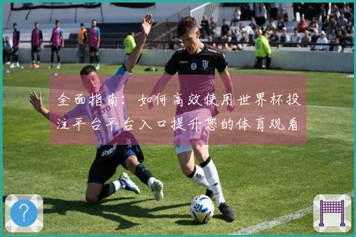 全面指南：如何高效使用世界杯投注平台平台入口提升您的体育观看体验