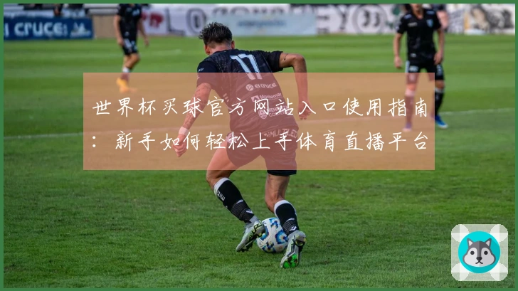 世界杯买球官方网站入口使用指南：新手如何轻松上手体育直播平台功能